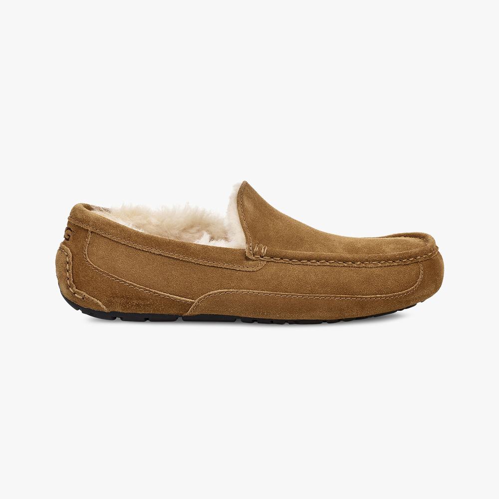 Mocassin UGG Ascot Slip-On Homme Marron Soldes 217GTBIU